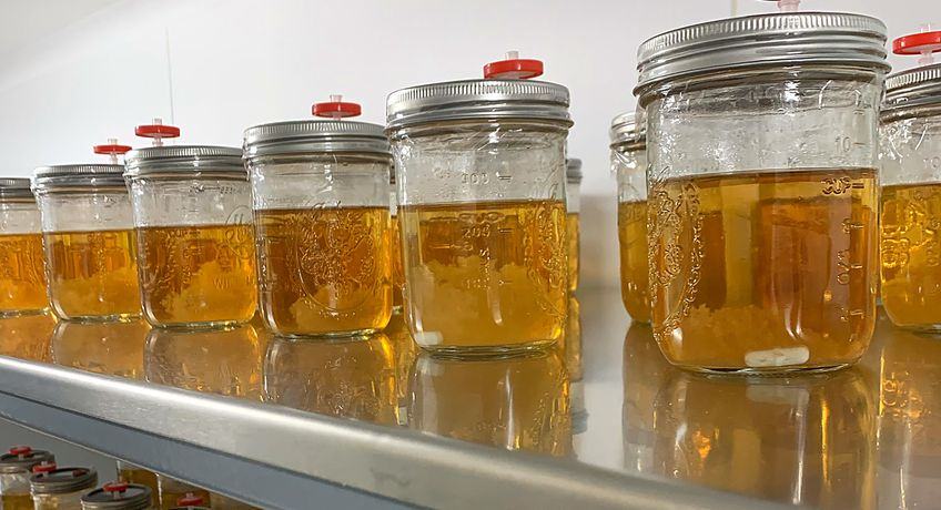 Liquid culture jars on the shelf at Brook Farm